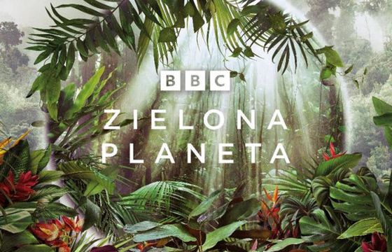 Na BBC Earth startuje „Zielona Planeta” – cykl z Davidem Attenborough