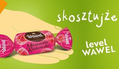 "Skosztujże" i inne regionalizmy reklamują Wawel