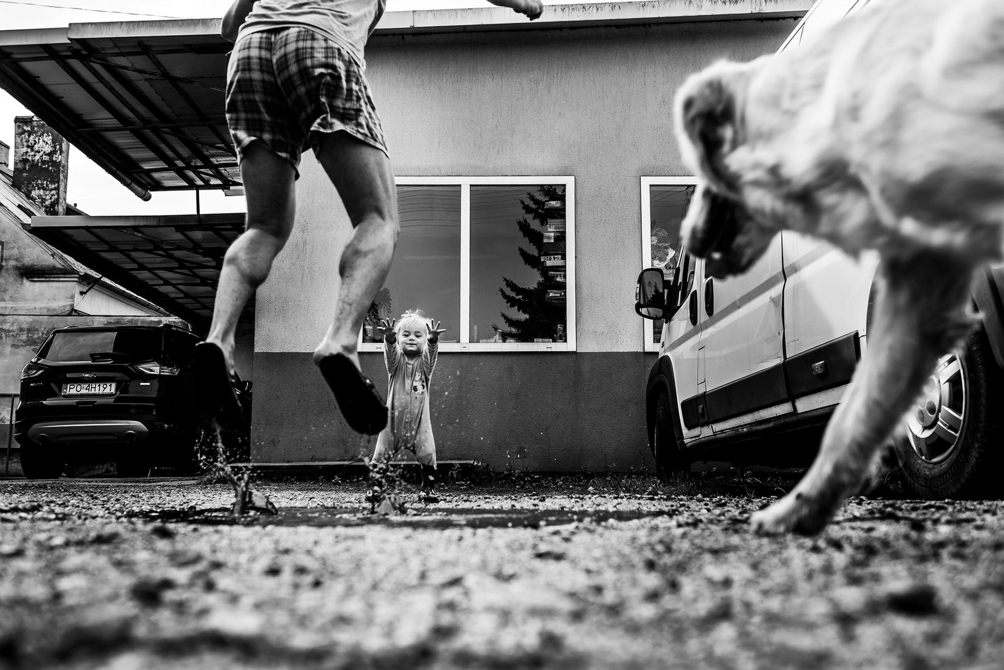 5 Polaków w finale Sony World Photography Awards 2019 2