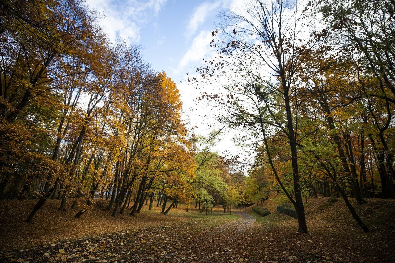 Niż bierze Europę w objęcia. W Polsce poczujemy ocieplenie