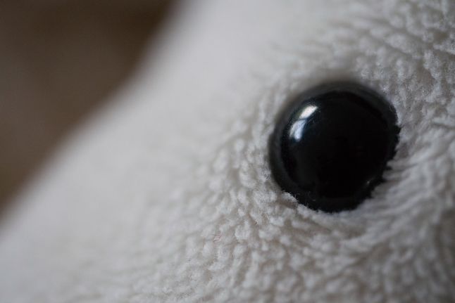 1/500 s, f/2.8, ISO 3200, 45 mm | DNG | LEICA DG MACRO-ELMARIT 45/F2.8