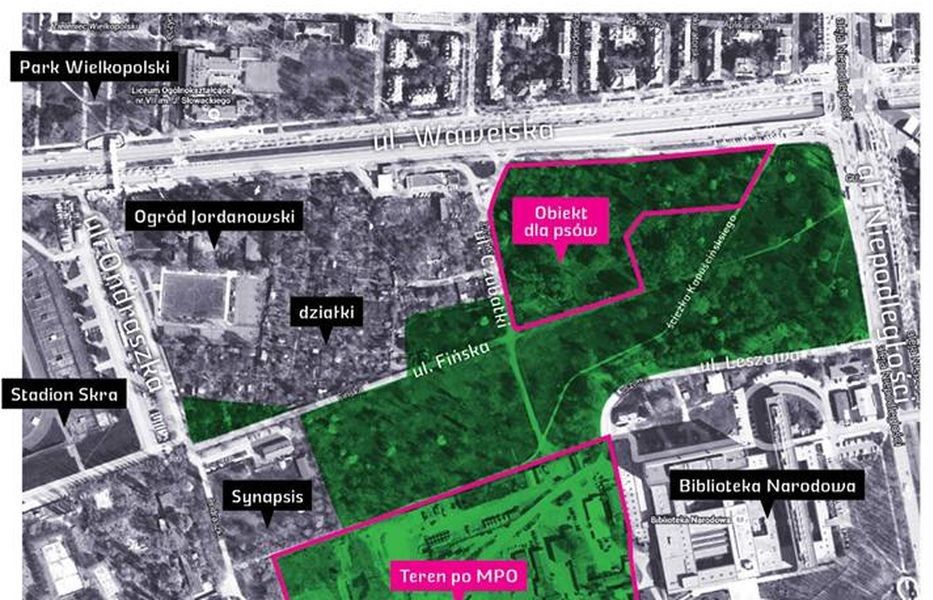 Protestują przeciwko wycince drzew. Dzielnica uspokaja. "To nie z powodu wybiegu dla psów"