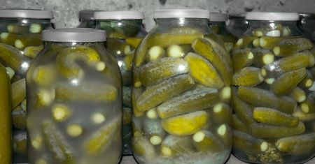 Zamienia kiszonki w truciznę. Powoduje paraliż mięśni i nagłe zatrzymanie krążenia