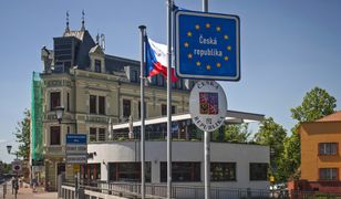 Automaty z ziemniakami? Czesi mają rozmach