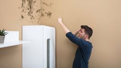 Domowy środek, który usunie pleśń. Sprawdź, jak przygotować 