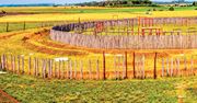 Przerażająca tajemnica niemieckiego "Stonehenge" odkryta. Co skrywają jamy pełne brutalnie zabitych?