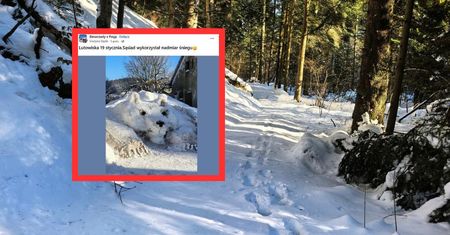 Pokazała, co zrobił sąsiad. Tuż przed domem. Zdjęcie budzi emocje