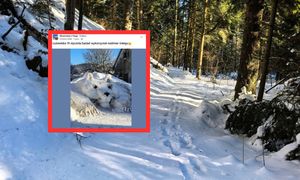 Pokazała, co zrobił sąsiad. Tuż przed domem. Zdjęcie budzi emocje