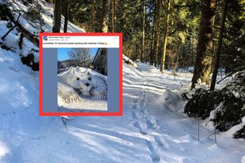 Pokazała, co zrobił sąsiad. Tuż przed domem. Zdjęcie budzi emocje