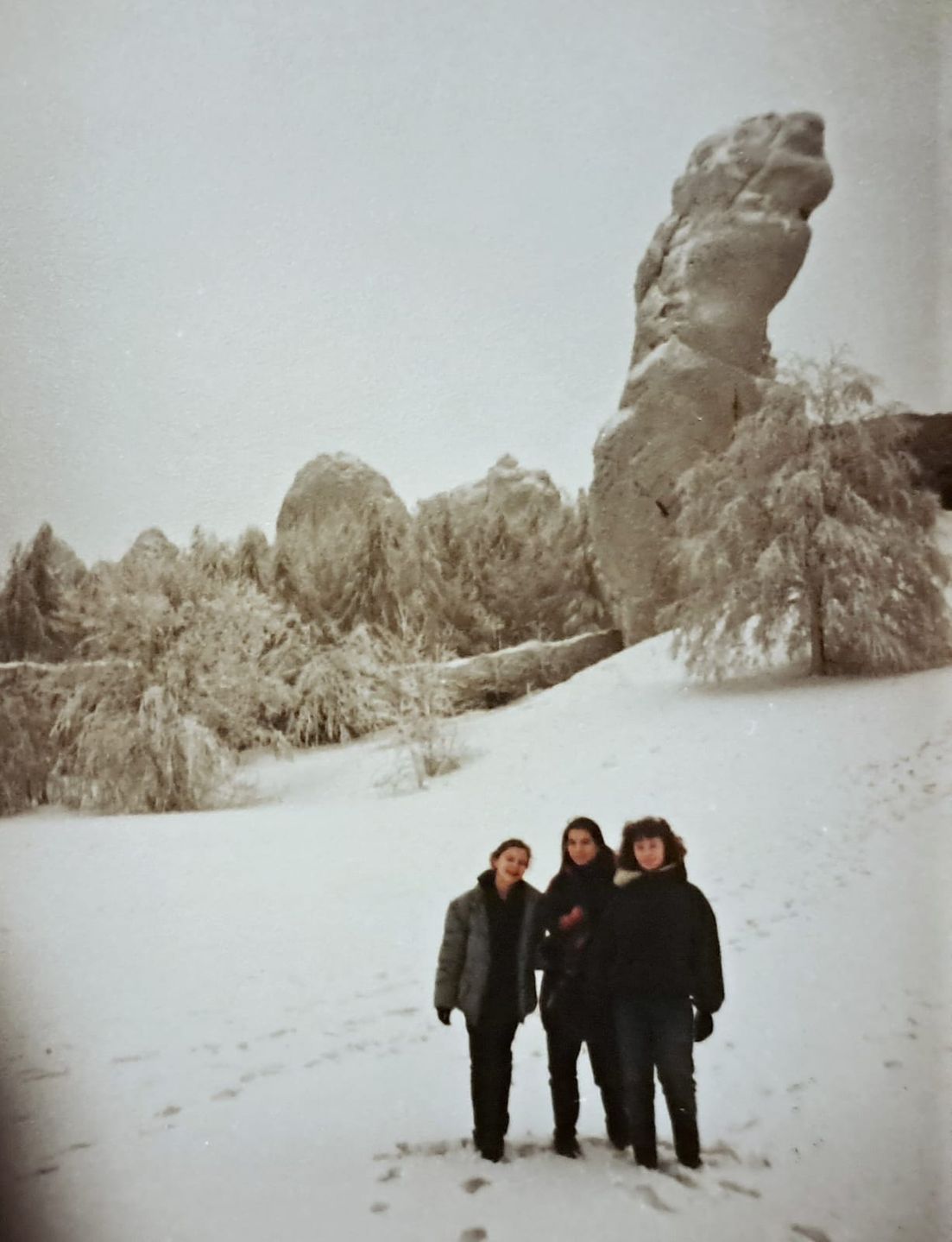 Ogrodzieniec w zimowej szacie zachwycał, a skakanie przez płot w śnieżne zaspy było dodatkową atrakcją