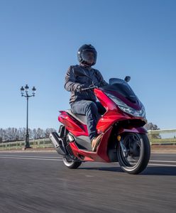 Honda PCX125 hitem w Polsce. Sprzedano już ponad 3 tys. egzemplarzy