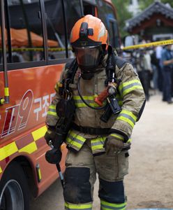 Pożar pod Seulem. Przyczyną tragedii była walka z karaluchami