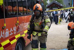 Pożar pod Seulem. Przyczyną tragedii była walka z karaluchami