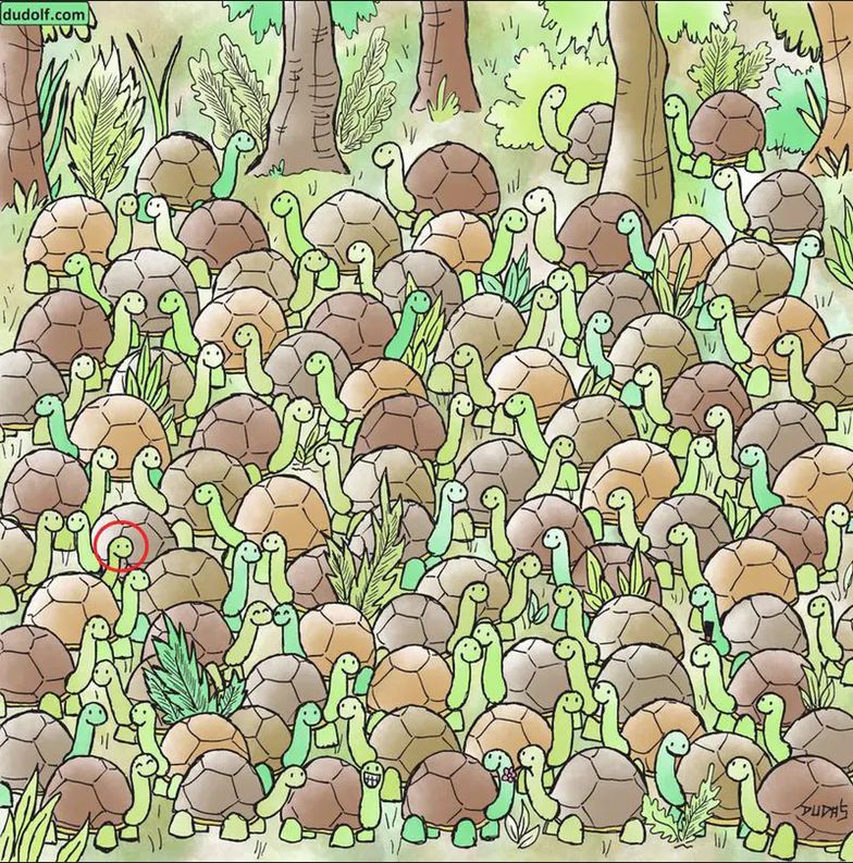 Test na spostrzegawczość