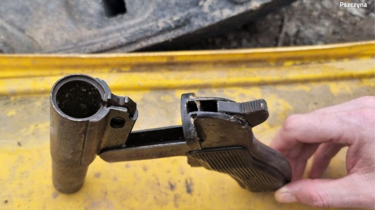 Fot. Śląska Policja - Pszczyna/ pszczyna.policja.gov.pl