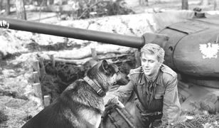 Fenomen "Deszczów niespokojnych". Mimo upływu lat piosenkę znają niemal wszyscy