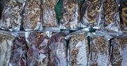 Zamienia się w truciznę. Takich grzybów lepiej nie susz