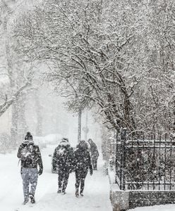 Europa zasypana śniegiem. Odwołane mecze, zasypane drogi i zamknięte lotniska