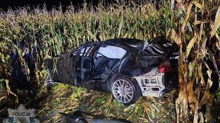 Tragiczny wypadek i kolejne zderzenie z łosiem. Niebezpiecznie na mazowieckich drogach