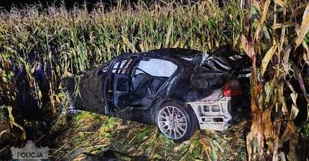 Tragiczny wypadek i kolejne zderzenie z łosiem. Niebezpiecznie na mazowieckich drogach
