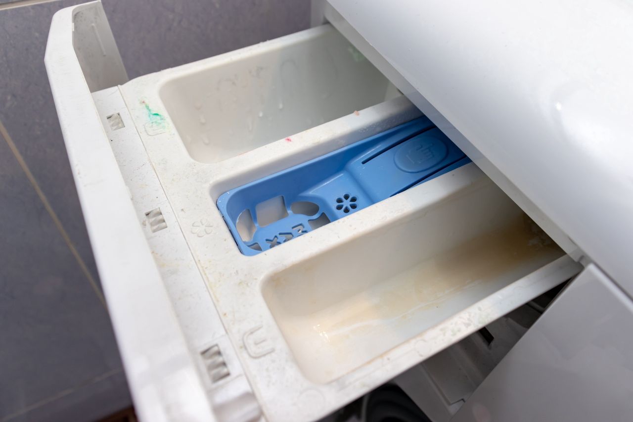 Jak wypłukać pleśń z pralki?