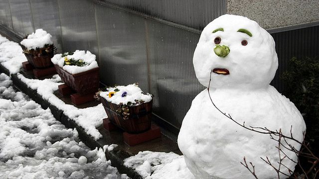 Bałwan samobójca wysłany na pustynię [wideo] 1