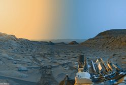 Trzęsienie ziemi na Marsie. Naukowcy zdumieni odkryciem źródła