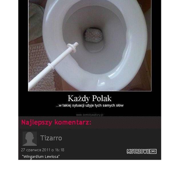 Najgłupsze teksty z polskiego Internetu