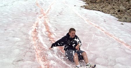 Spadł "arbuzowy śnieg". Malownicze pejzaże w Utah