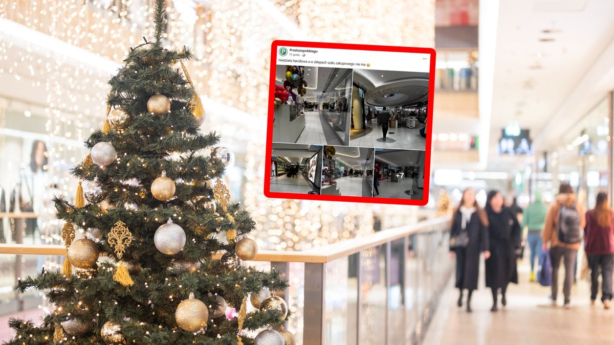 Ujrzeli pustki w galerii w Opolu.