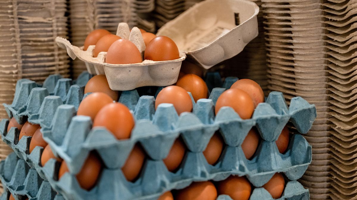 Rosną ceny jaj w hurcie
