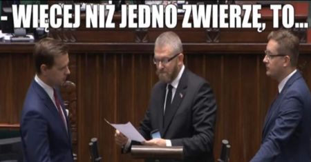 Piątka dla zwierząt – memy. Internauci kpią z tego, co dzieje się w Sejmie