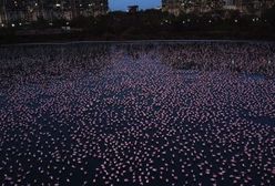 Indie. Tysiące flamingów w Bombaju