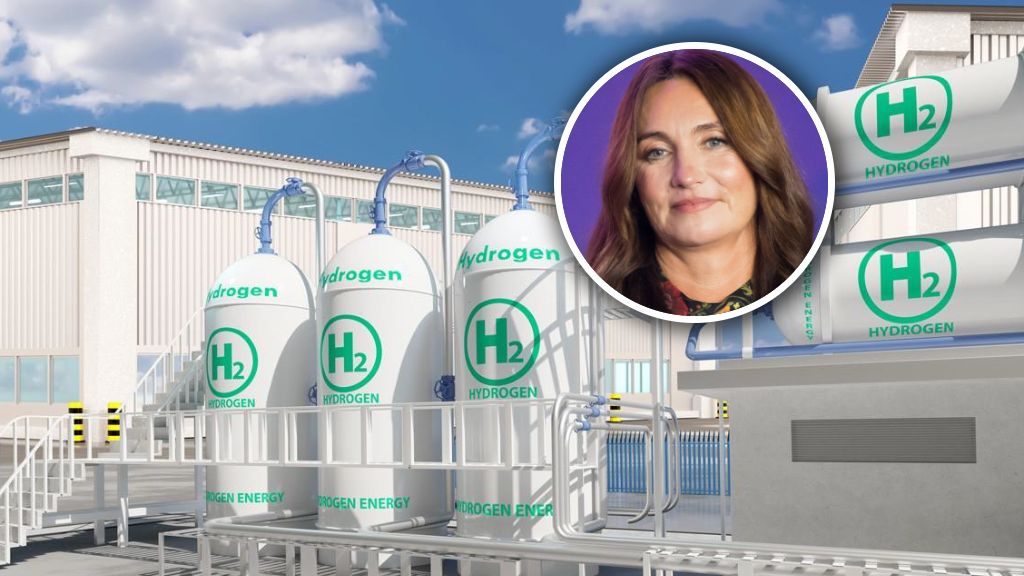 BGK nie będzie współfinansował inwestycji spółki Dominiki Kulczy