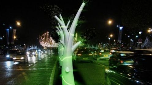 Drzewa, które świecą i rosną 1