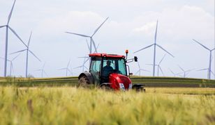 Plaga kradzieży w Niemczech. Straty na 700 tys. euro