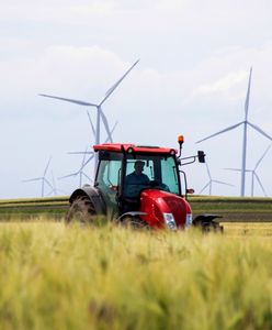 Plaga kradzieży w Niemczech. Straty na 700 tys. euro