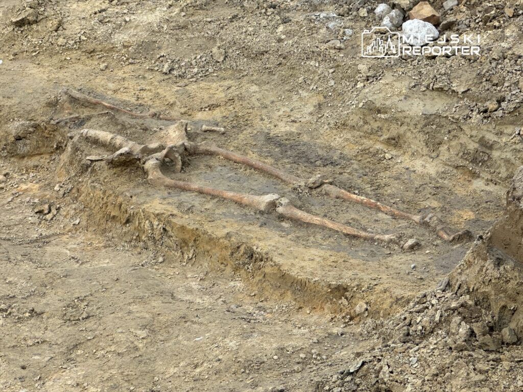 Warszawa: Ludzkie szczątki na budowie tramwaju do Dworca Zachodniego. Na miejscu pracują służby