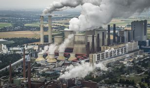 Pozwali Unię Europejską. Ekolodzy mają dość