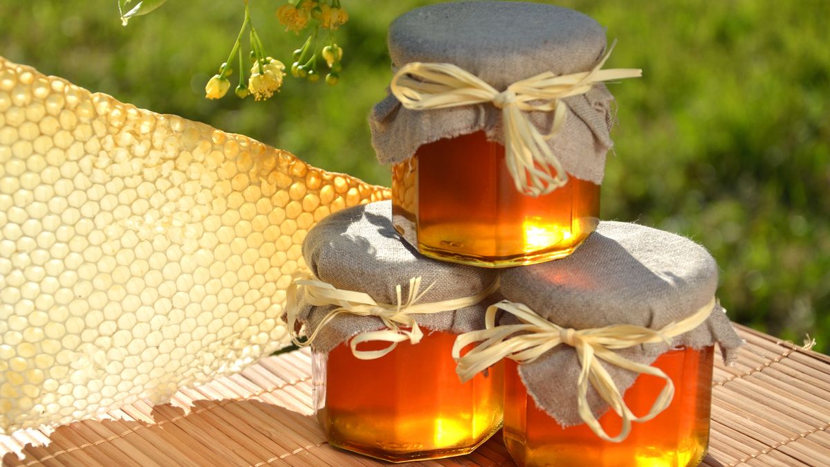 Miód kasztanowy jest wciąż stosunkowo nieznany