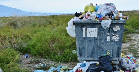 Znalazłeś nie swoje śmieci na działce? Sprawdź, gdzie to zgłosić
