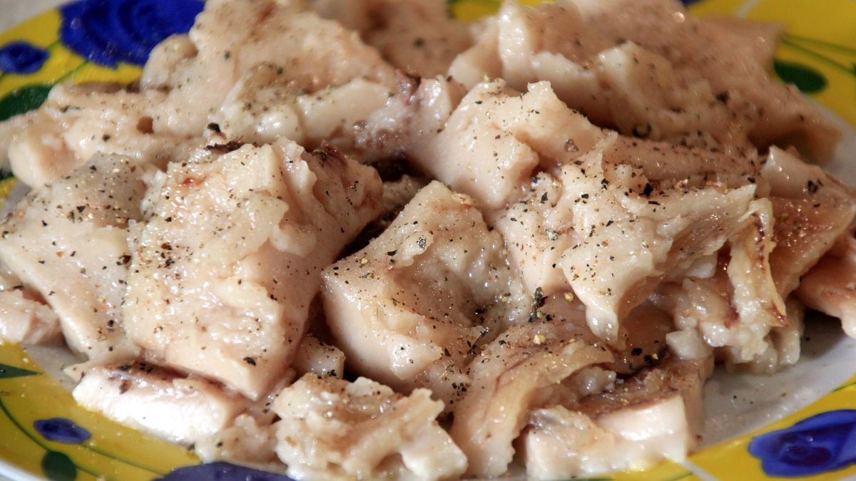 Mięso bobra dawniej pojawiało się na stołach w czasie postu