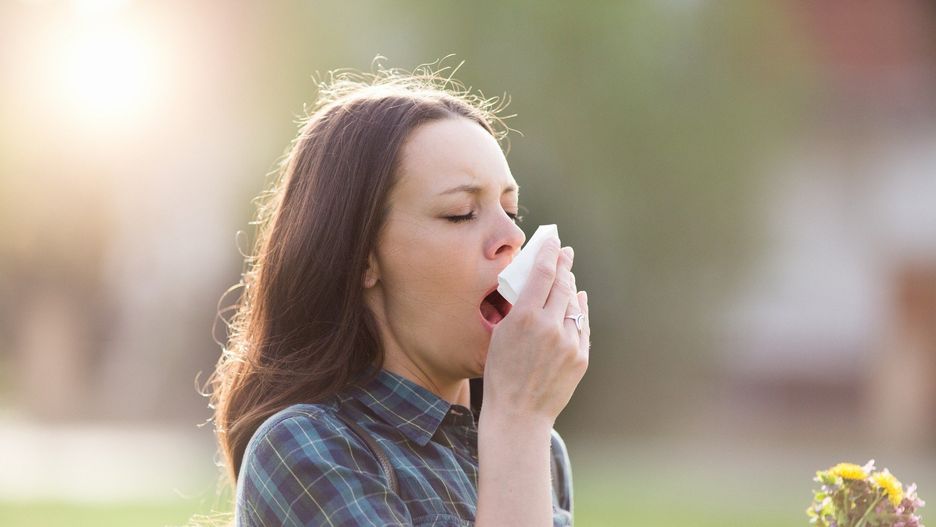 Jaka pogoda? Prognoza dla alergików