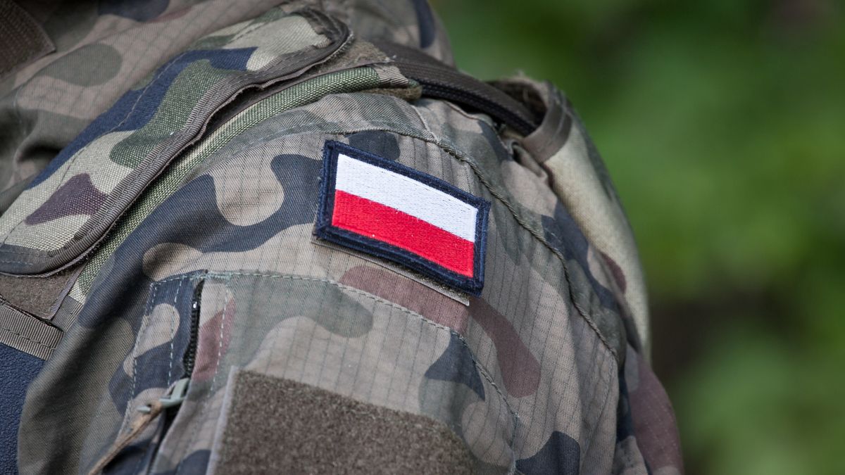 wojsko, wojna, mundur, flaga, polska, ubiór, poligon