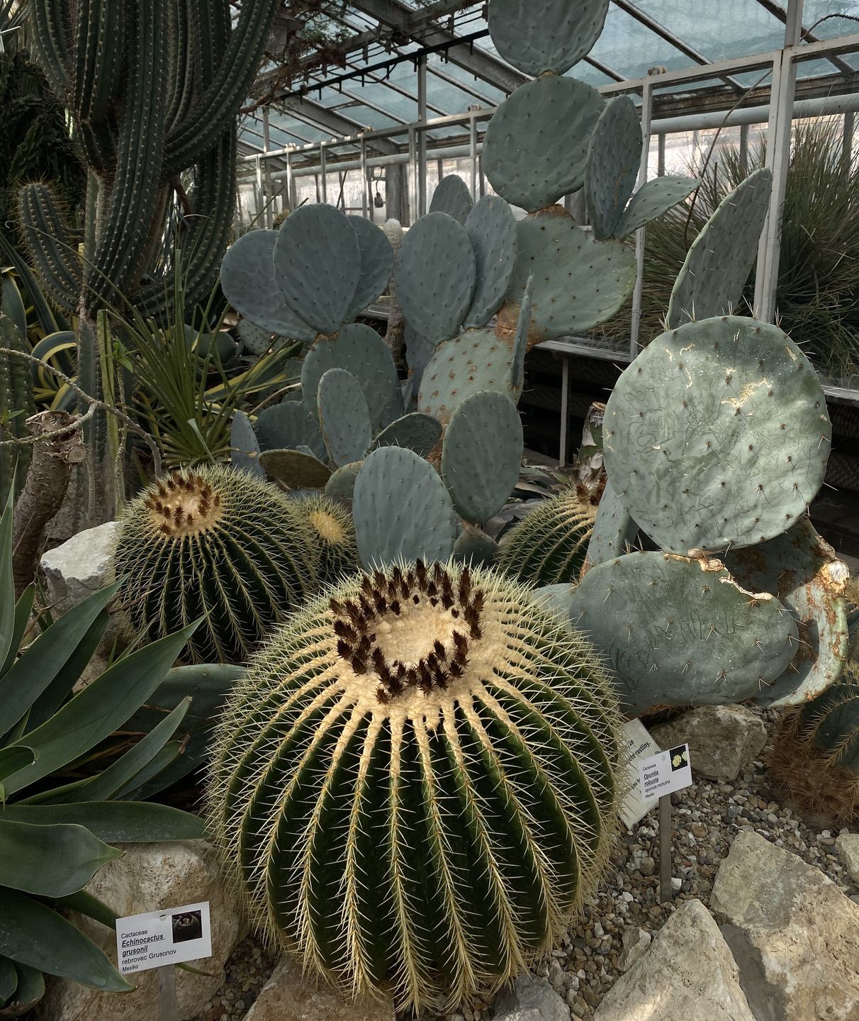 Ogród botaniczny w Koszycach