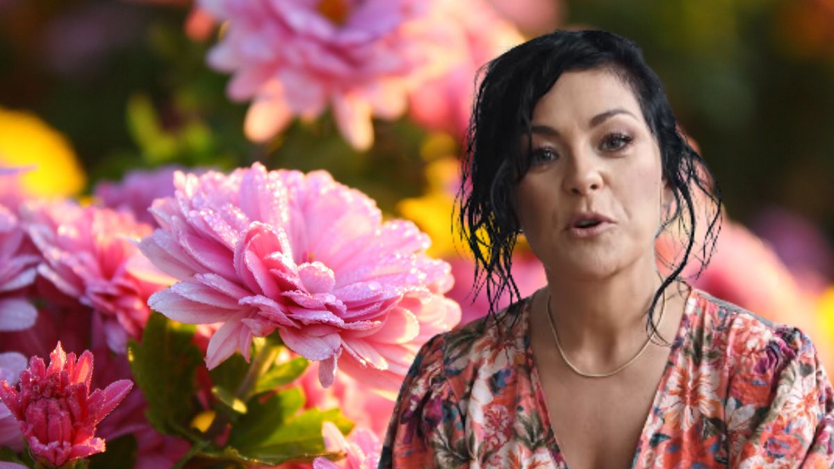 Katarzyna Cichopek pokazała, jak kisić chryzantemy