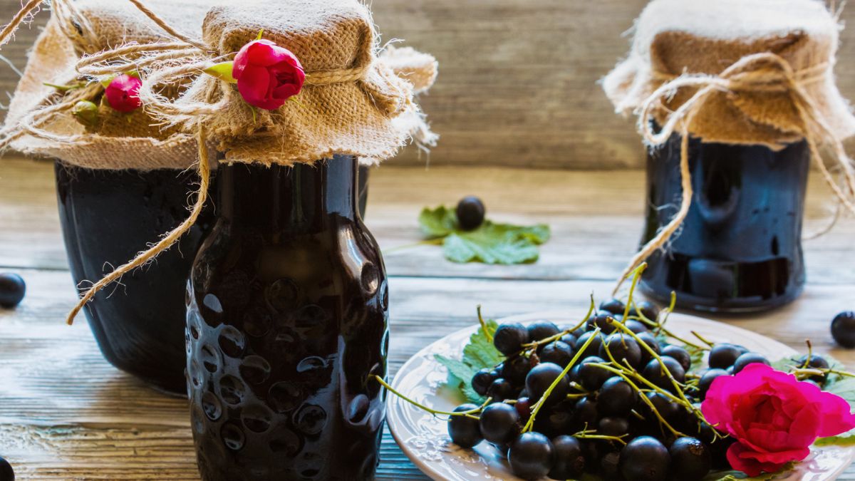 Zimą herbata z sokiem z czarnego bzu pomoże ci zwalczyć infekcję