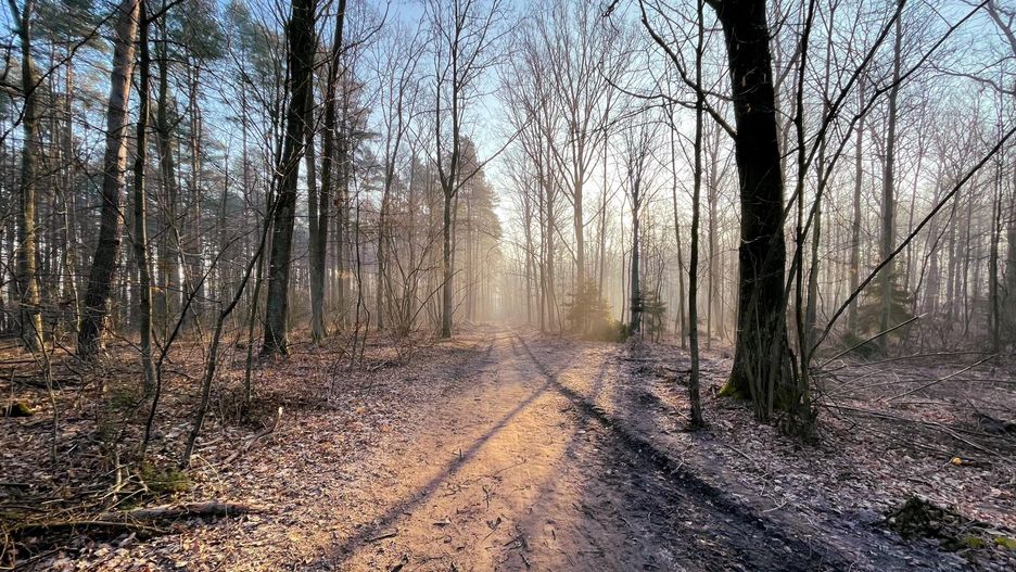 Pogoda. Wrocław. 3 marca 2021 - załamanie aury nadchodzi. Od czwartku deszcz, później chłód