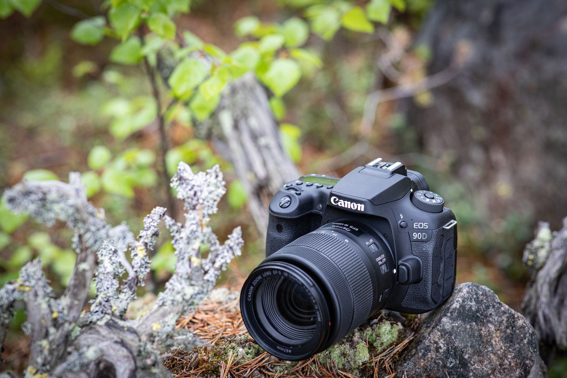 Canon EOS 90D i Canon EOS M6 Mark II to najciekawsze korpusy Canona od lat 15