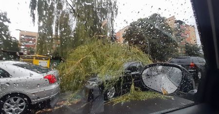 Duże straty po nawałnicy w Lublinie. Ponad 100 uszkodzonych aut, setki połamanych drzew